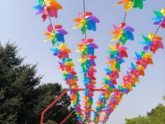-北陵公园