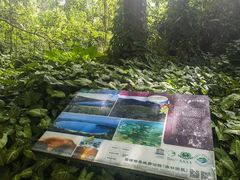 -海口火山口国家地质公园