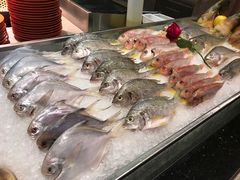 煎鱼-厦门海沧正元希尔顿逸林酒店開全日餐厅