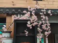 -谷咖啡·鲜花绿植花园餐厅