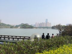 -顺峰山公园