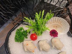 企鹅墨鱼丸-湊湊火锅·茶憩(新中关购物中心店)