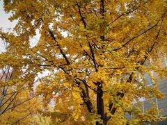 -长江路历史文化街区