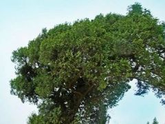 -仙海旅游度假区