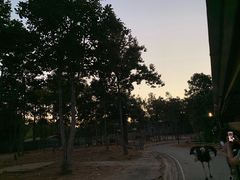 -清迈夜间动物园