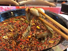 -烧哥美蛙肥肠鱼火锅·十五年社区店