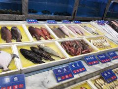 -龙宴海鲜城(经中路店)