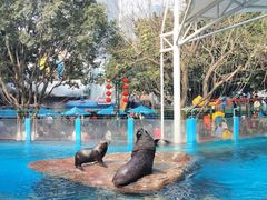 -海合安成都极地海洋公园