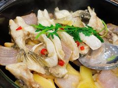 -台山美食一绝阿四台山黄鳝饭(阿四创作店)