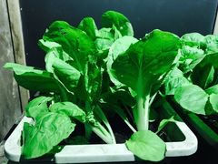 -旅马餐厅(茅家埠店)