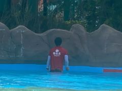 -汤山欢乐水世界