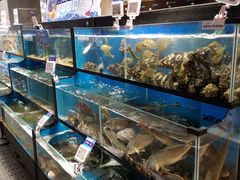 水产区-盒马鲜生(曜一城店)