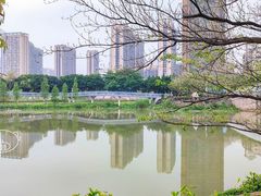 景点-怡海公园(桂城街道)