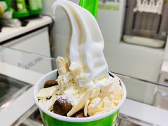 冻酸奶-Salud撒露欧洲冻酸奶(蓝色港湾店)