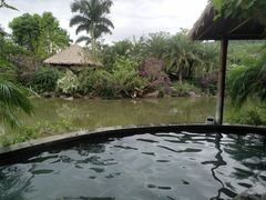 -水底山庄园温泉