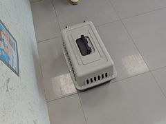 -瑞派宠物医院·24h·骨外科·皮肤科·全科宠物医疗转诊中心(沈阳浑南院)