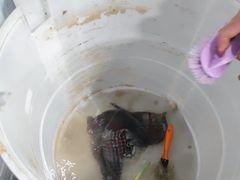 -十分到家家电清洗深圳