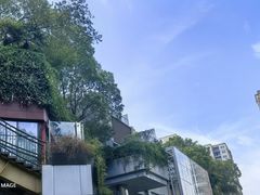 -合点寿司(金虹桥商场店)