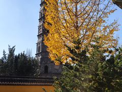 -上海青龙寺