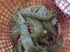 -浪琴湾尾角仔海鲜坊