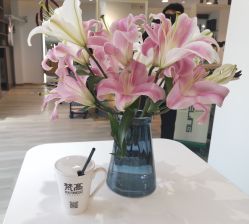 大厅-新晨·SALON·形象造型