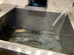 -周渝食惦酸菜鱼(青浦店)