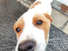 -狮麟驾校