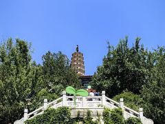 -白塔山公园