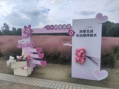 -同里国家湿地公园