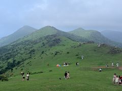 -大姆山草场