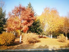 -长春世界雕塑园冰雪艺术天地