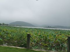 -徐记私厨(半淞园路店)