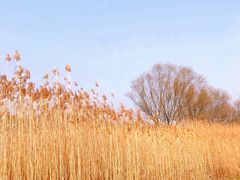 -太湖湖滨国家湿地公园-停车场