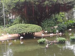 -九龙公园