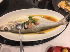 -上海1号私藏菜(黄浦店)