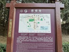 -清东陵