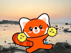 -红燕阁·精品琼菜·粤式早茶·囍宴(红燕堂酒店)