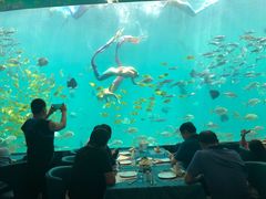 -瑞德姆美人鱼海底演艺主题餐厅(亚龙湾店)