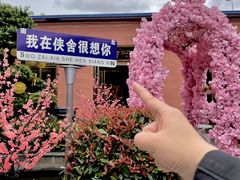 -侠舍·江湖烤全羊·大排档(沌口总店)