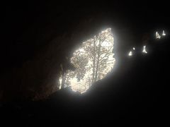 -百色大石围天坑群