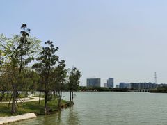 -顺峰山公园
