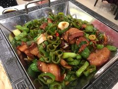 -邵年鸽(杨庄店)
