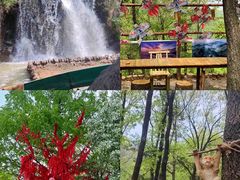 -沂蒙山旅游区云蒙景区(蒙山国家森林公园)