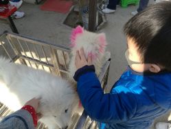 -萌宠亲子动物乐园(槐房万达店)