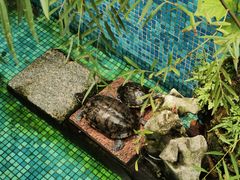 -莹珠阁·私房菜