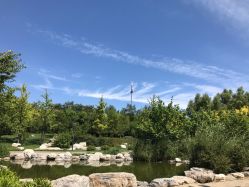 -大望京儿童游乐场