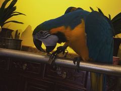 那家小馆(中关村店)-那家小馆•北京菜•烤鸭(中关村店)