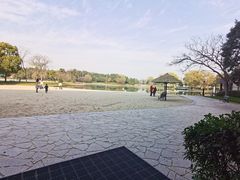 -上海佘山世茂艾美酒店