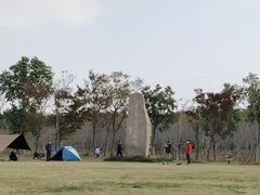 -上海海湾国家森林公园