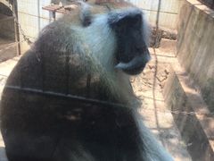 -昆明动物园